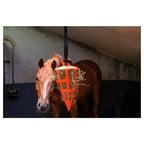 Jouet Hay Slow feeder