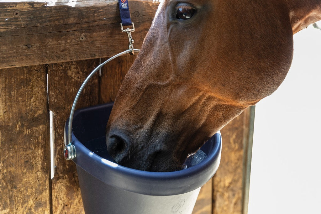 Seau 18L - One Equestrian