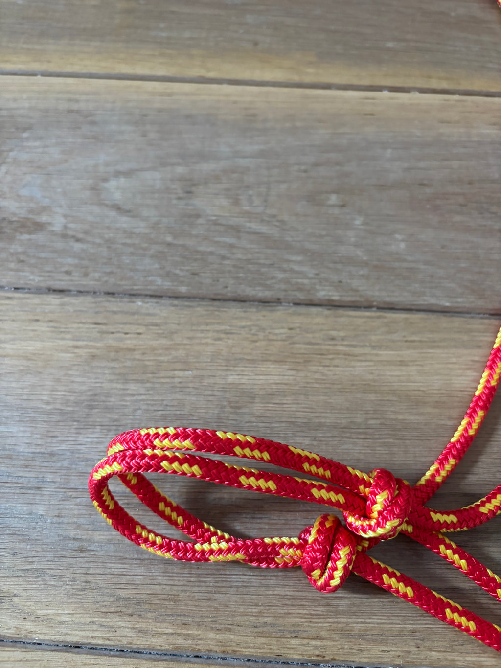 Licol Ethologique, Rouge / Jaune - Brockamp