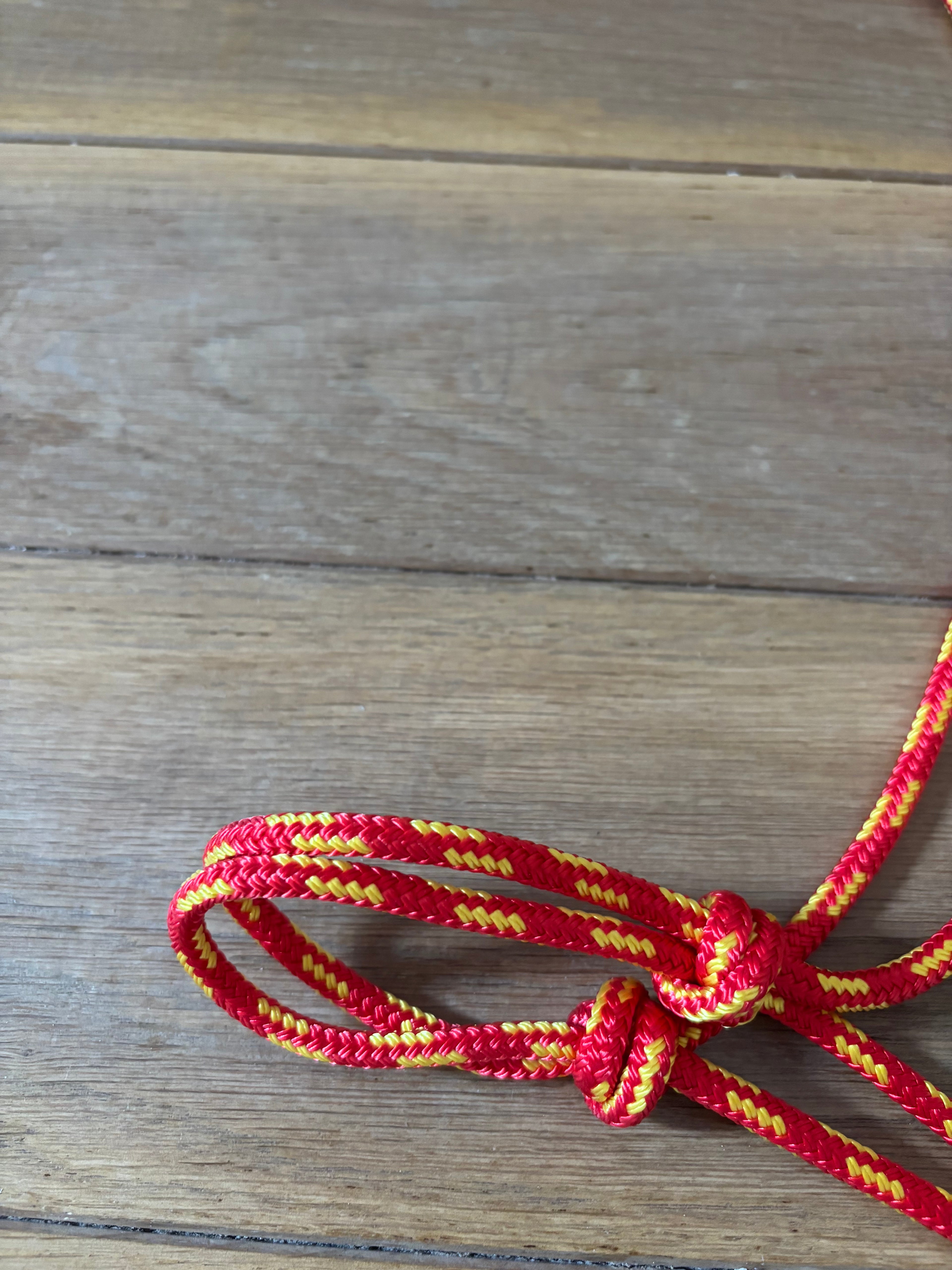 Licol Ethologique, Rouge / Jaune - Brockamp