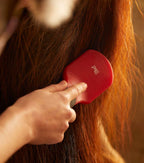 Brosse à crins - Premier Équine