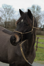 Ethological halter, Beige/Dark brown - Brockamp