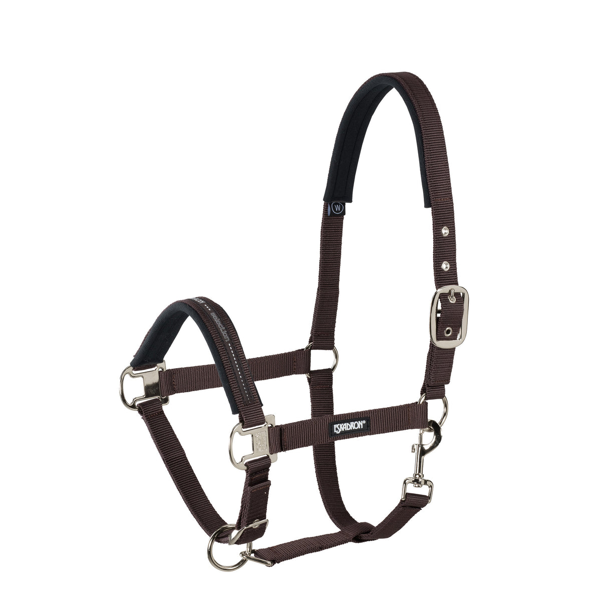 Eskadron Licol en sangle indéchirable boucles nickelées Pin Buckle
