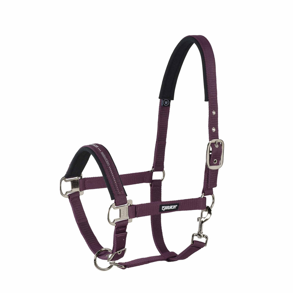 Eskadron Licol en sangle indéchirable boucles nickelées Pin Buckle