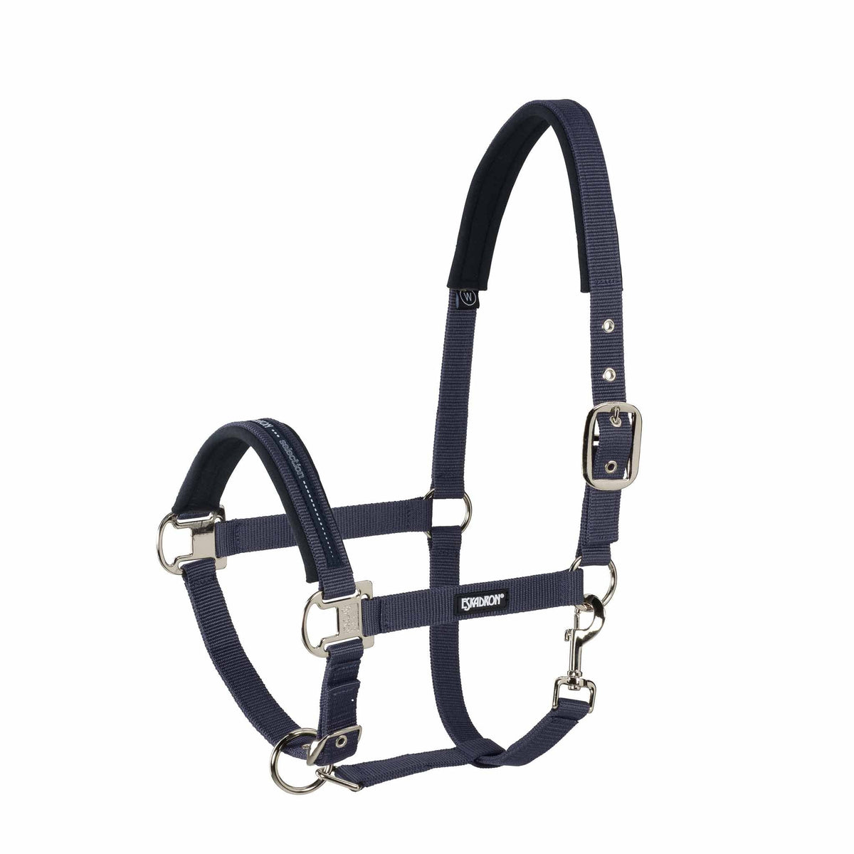 Eskadron Licol en sangle indéchirable boucles nickelées Pin Buckle
