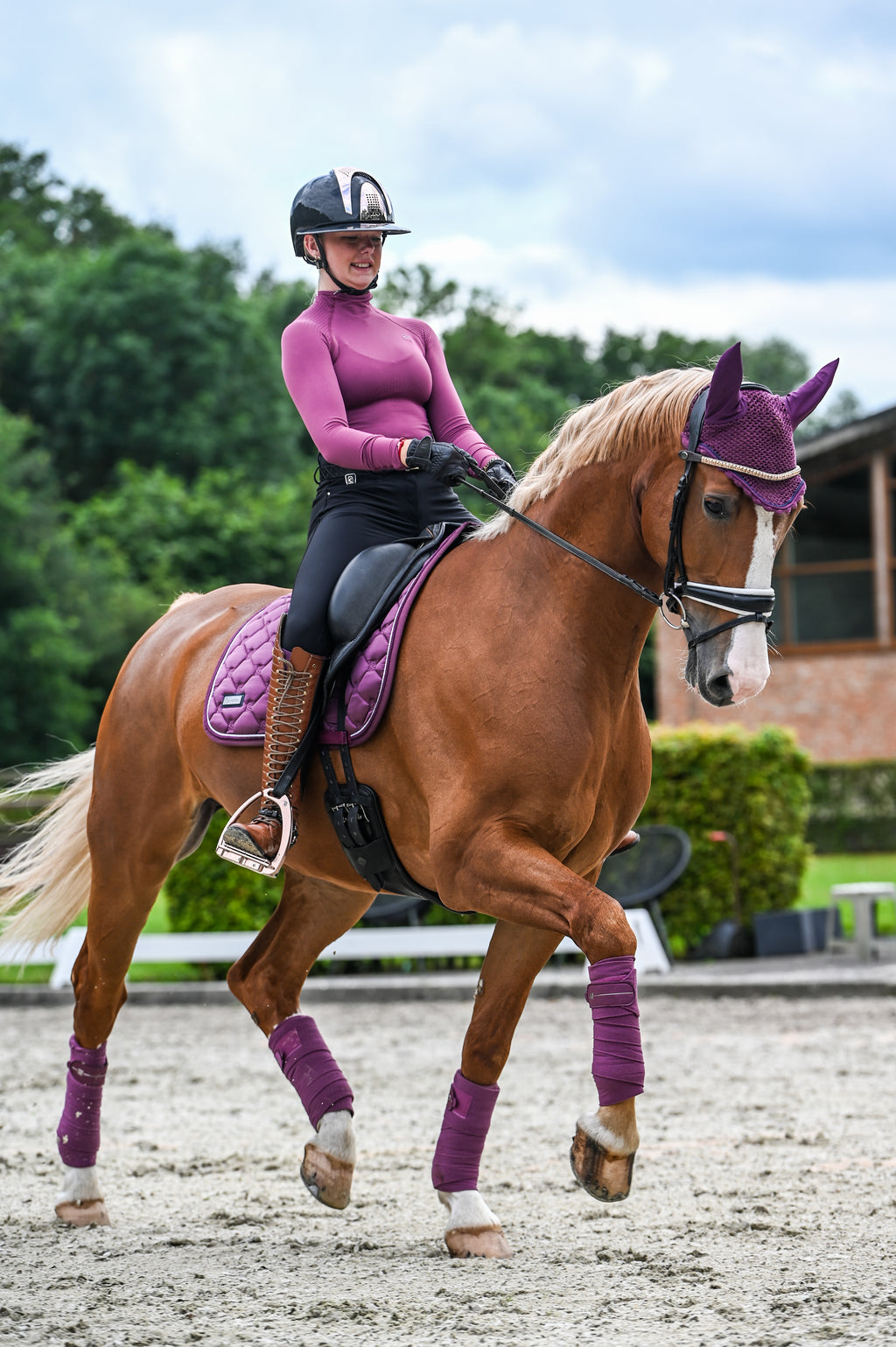 Bandes de polo Cavaljola, dusty violet - Cavallo