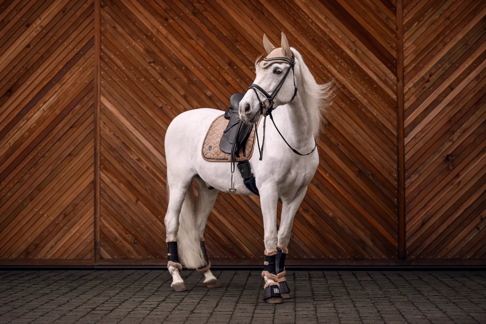 Tapis de selle Cavalpino - Cavallo AW 2025