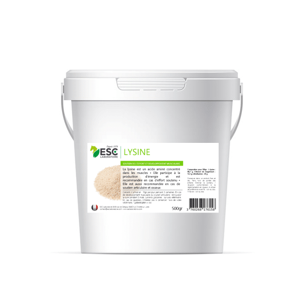 Lysine +, Soutien à l'effort et développement musculaire - ESC Laboratoire