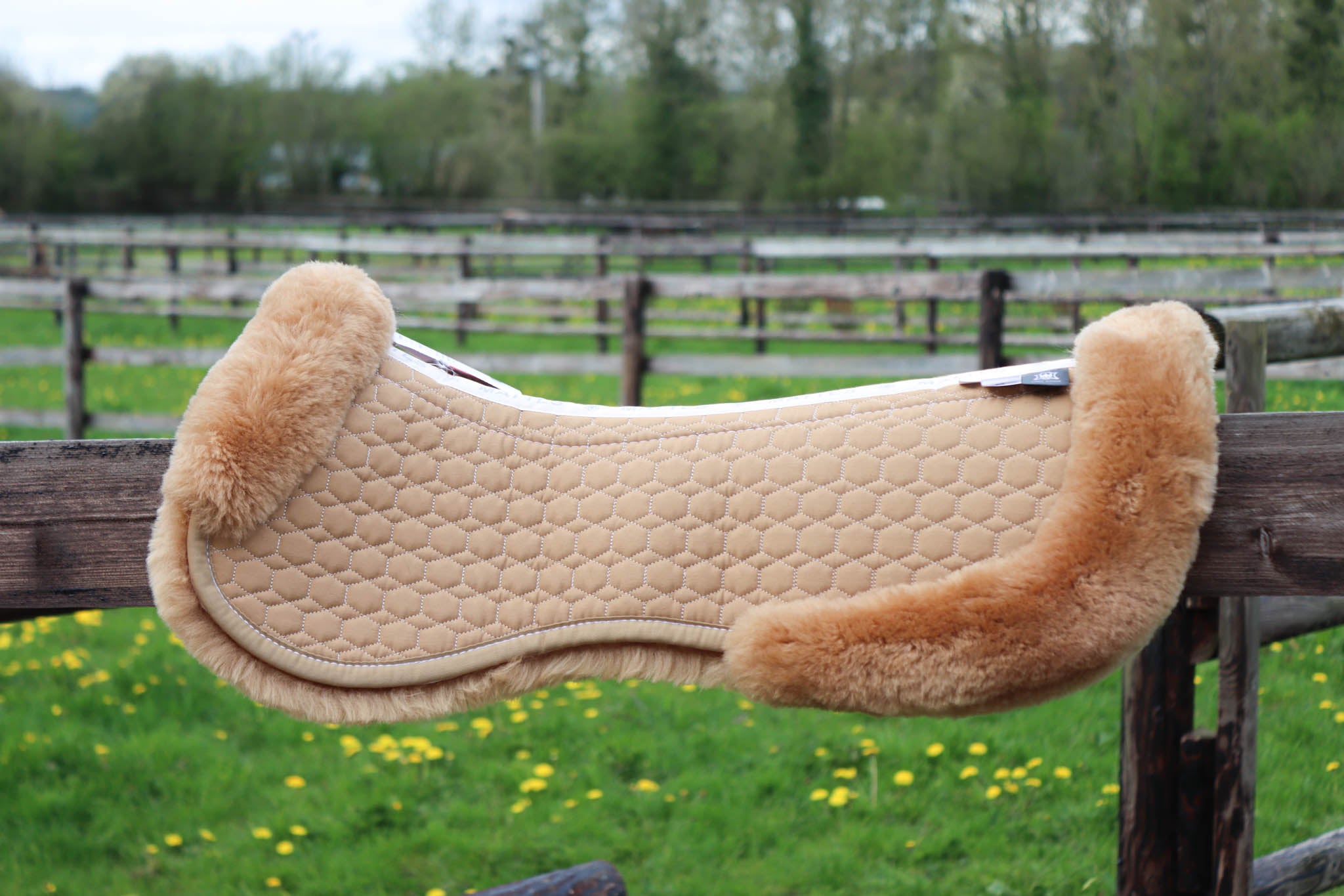 Amortisseur Sable, mouton miel - Mattes