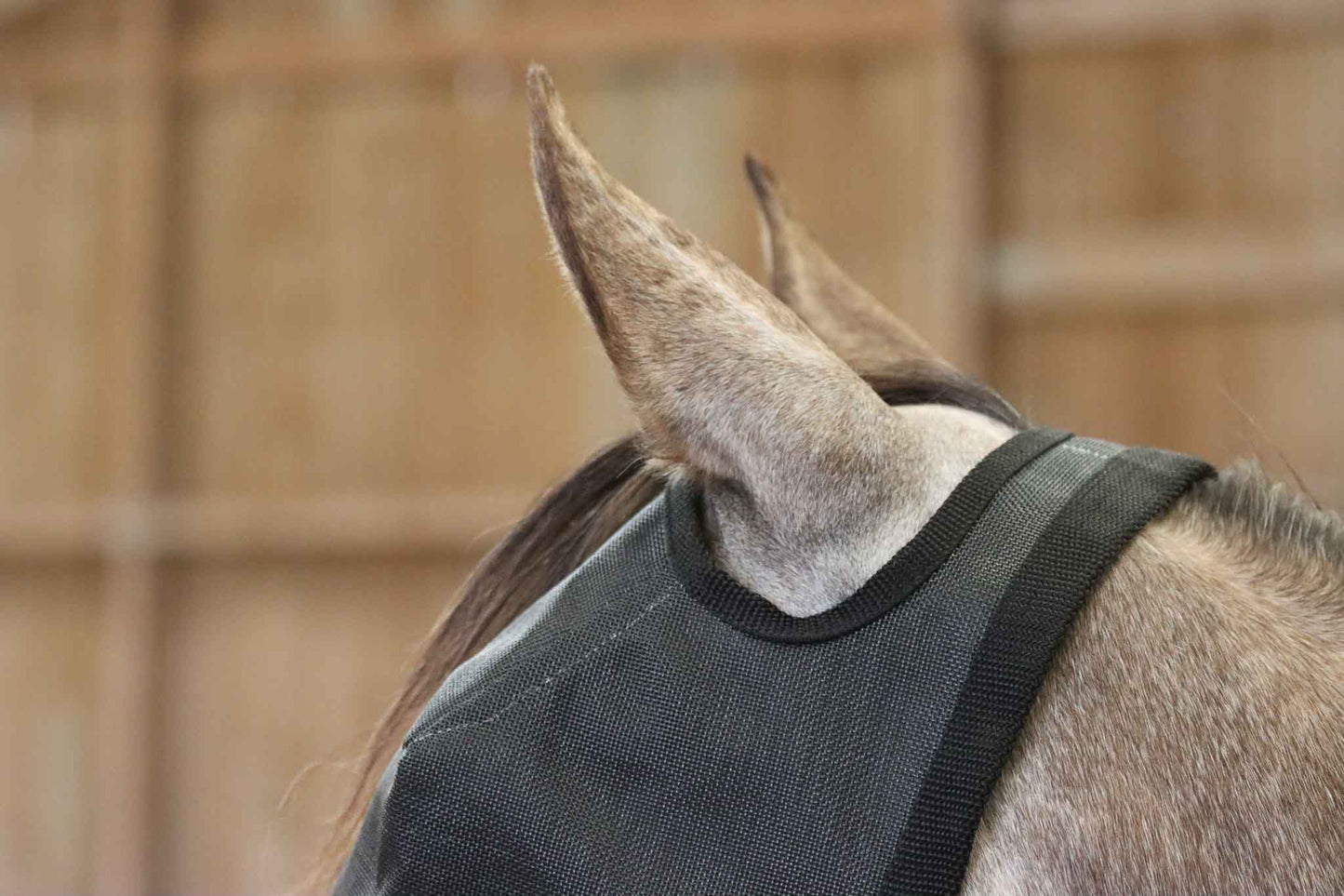 Masque sans oreilles, 90% Anti-UV - Nag Horse Ranch