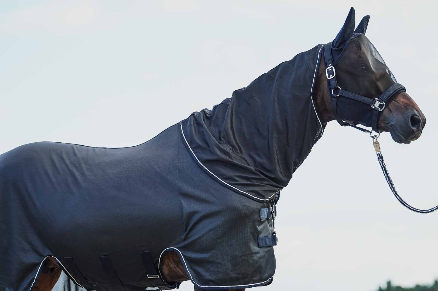 Fly rug, Navy - Platinum Pure