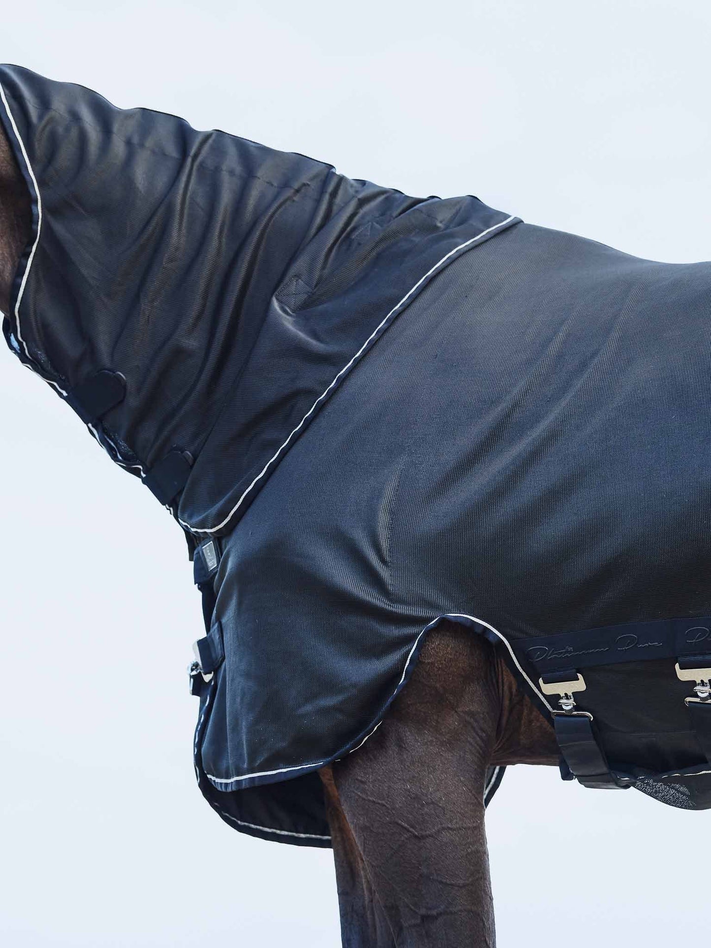 Fly rug, Navy - Platinum Pure