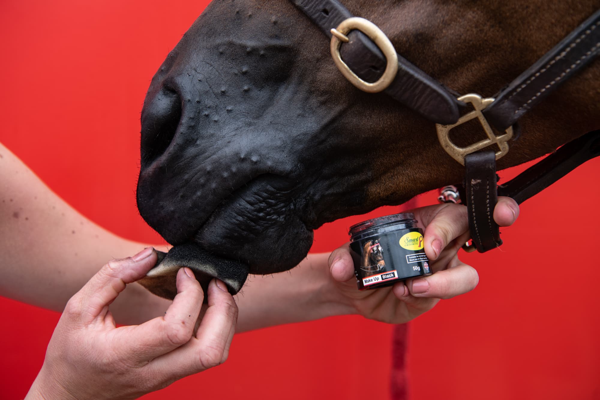 Smart Grooming Maquillage, camoufler les imperfections