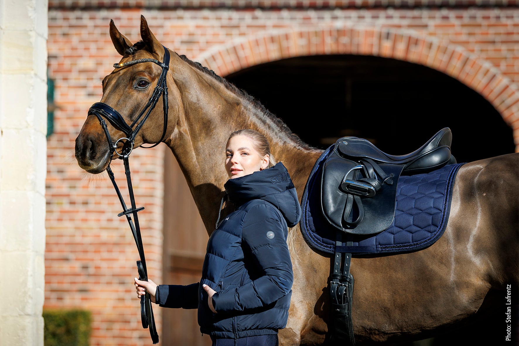 Tapis de selle High Density - Schockemöhle AW 25