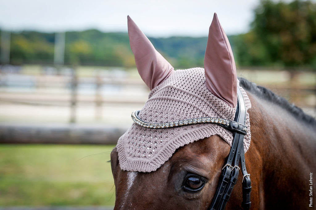 Bonnet SP Élégant Spark - Schockemöhle SS26