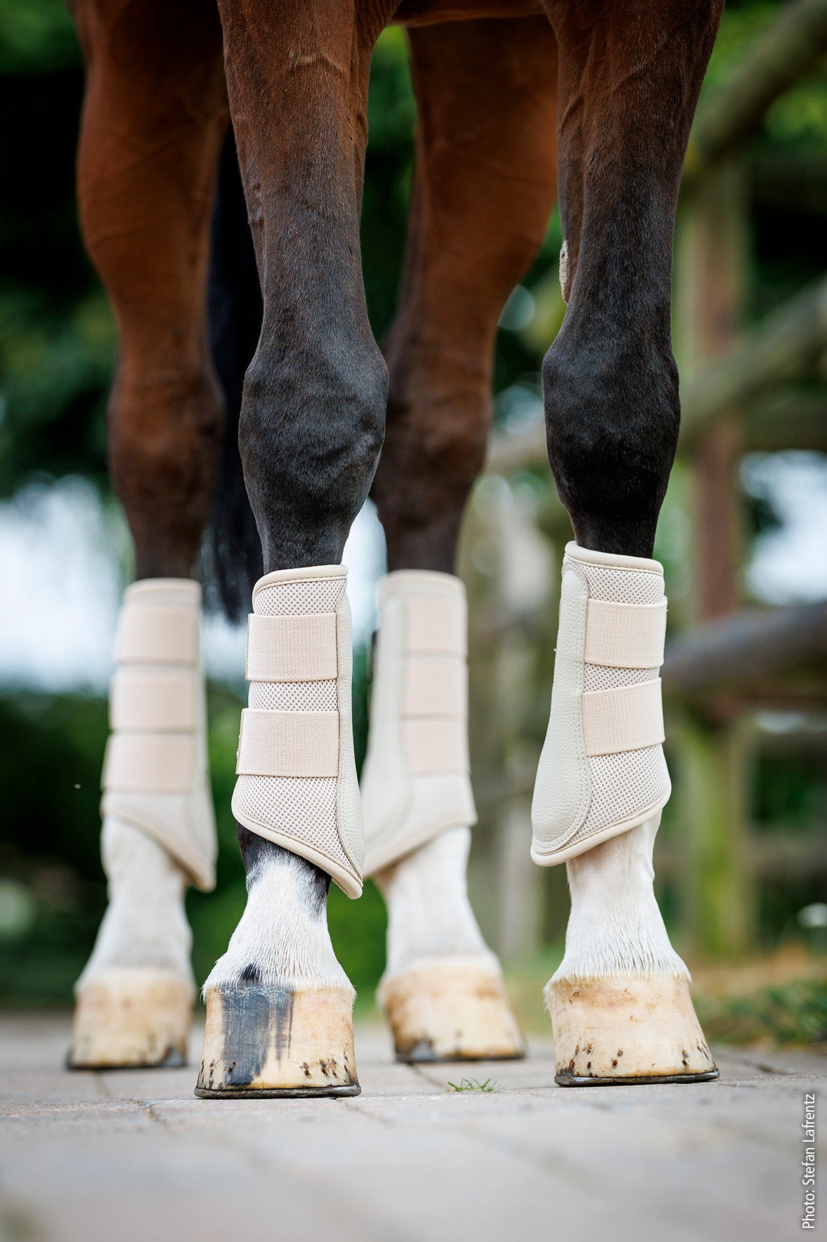 Guêtres Mesh Guards Style - Schockemöhle SS26