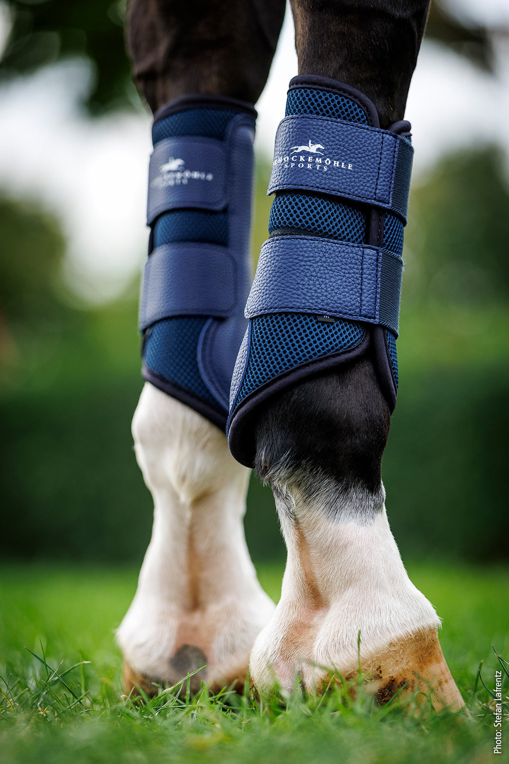 Guêtres Mesh Guards Style - Schockemöhle SS26