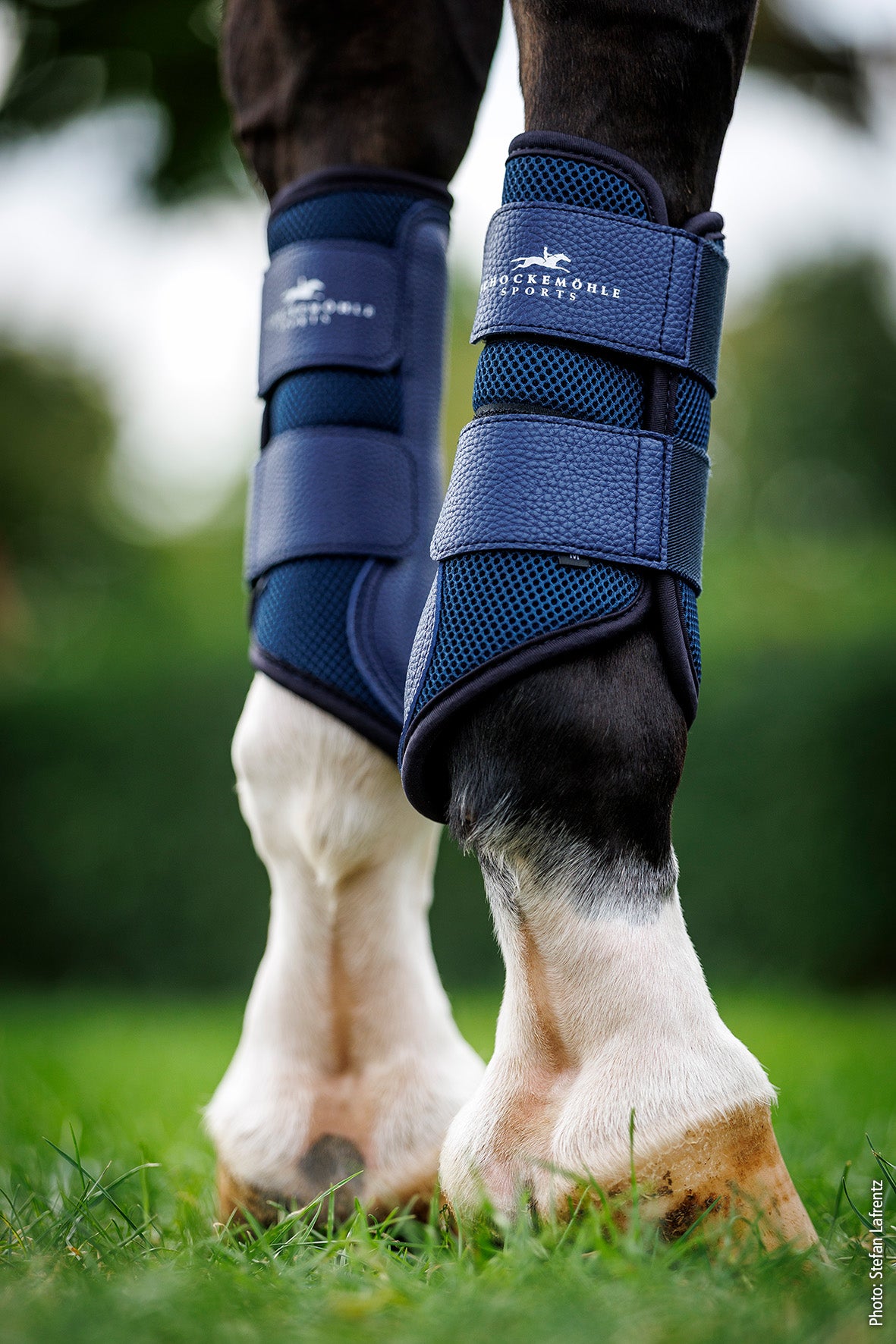 Guêtres Mesh Guards Style - Schockemöhle SS26