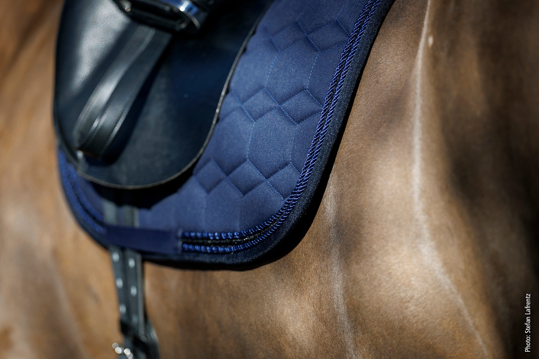 Tapis de selle High Density - Schockemöhle AW 25