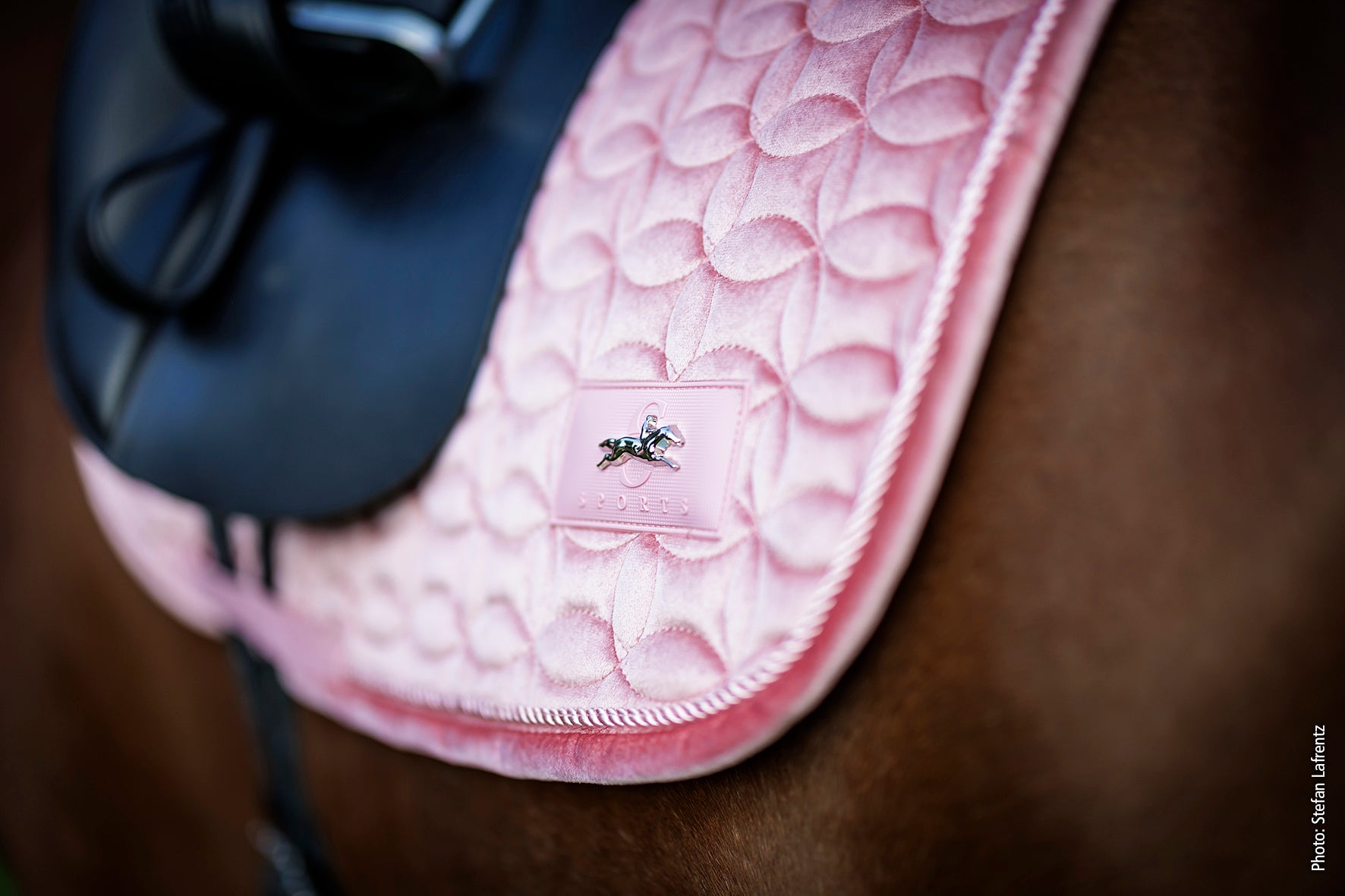 Tapis Velvet Balance, Dusty pink - Schockemöhle Spring/Summer 25