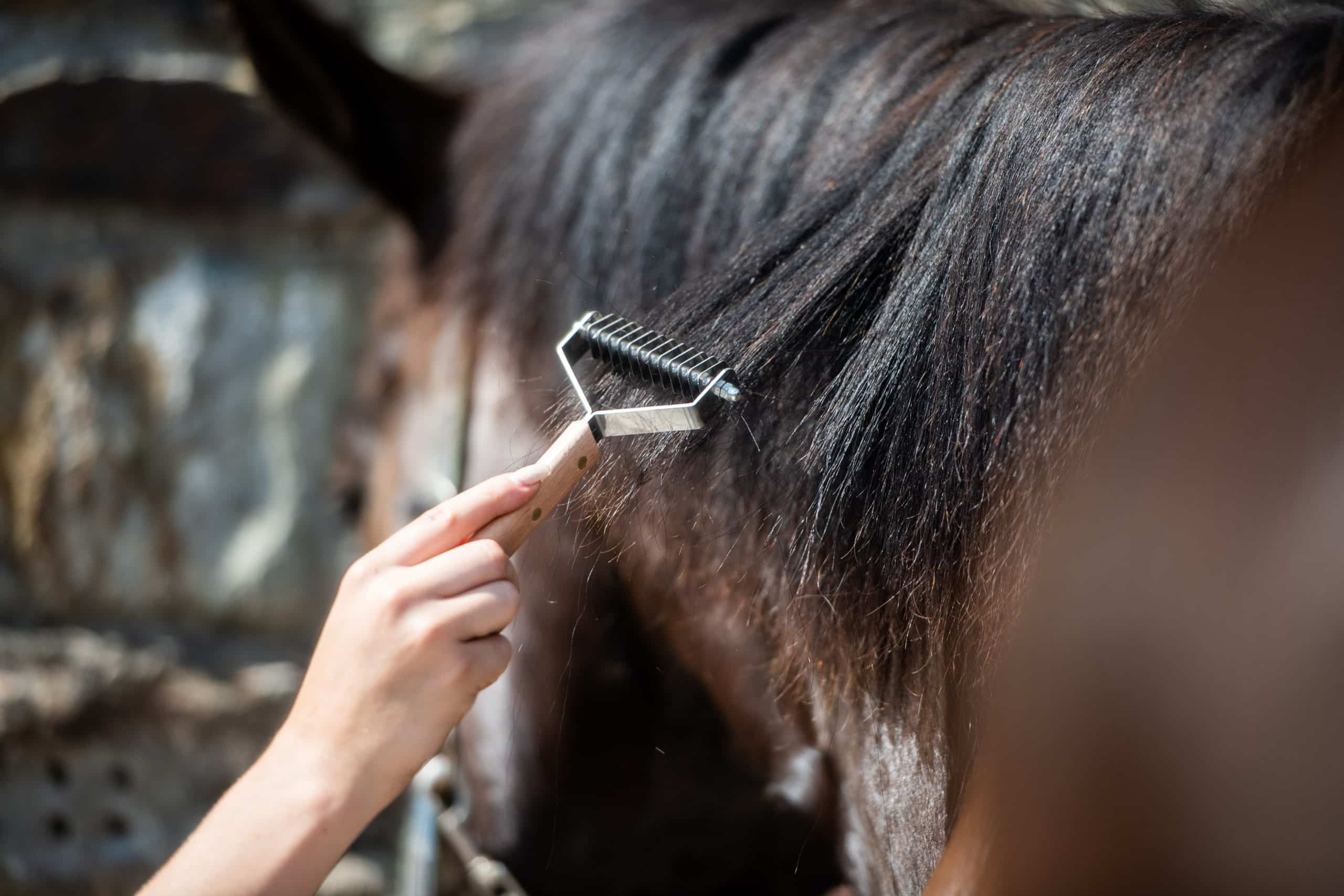 Smart Grooming Peigne désépaississant crinière