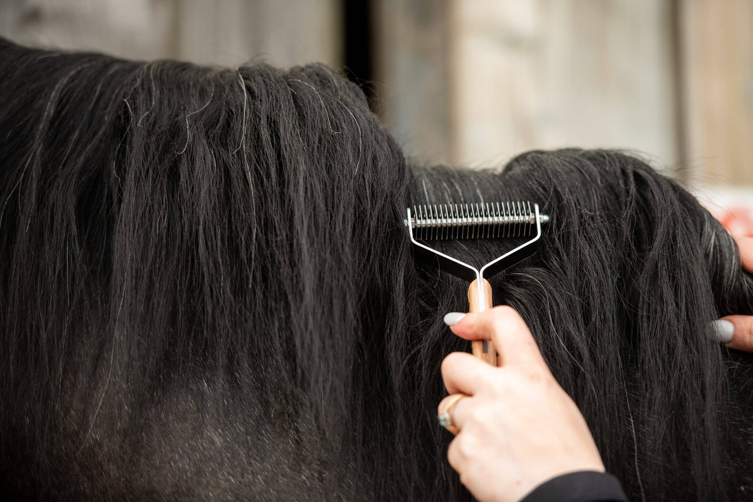 Smart Grooming Peigne désépaississant crinière