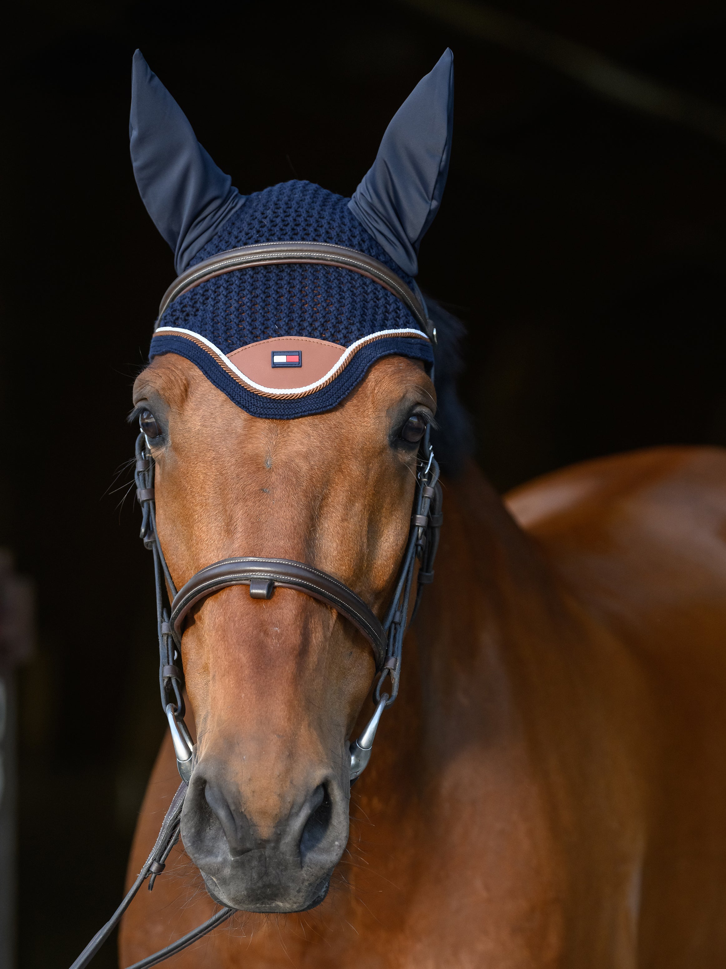 Bonnet Princeton, desert Sky - Tommy Hilfiger