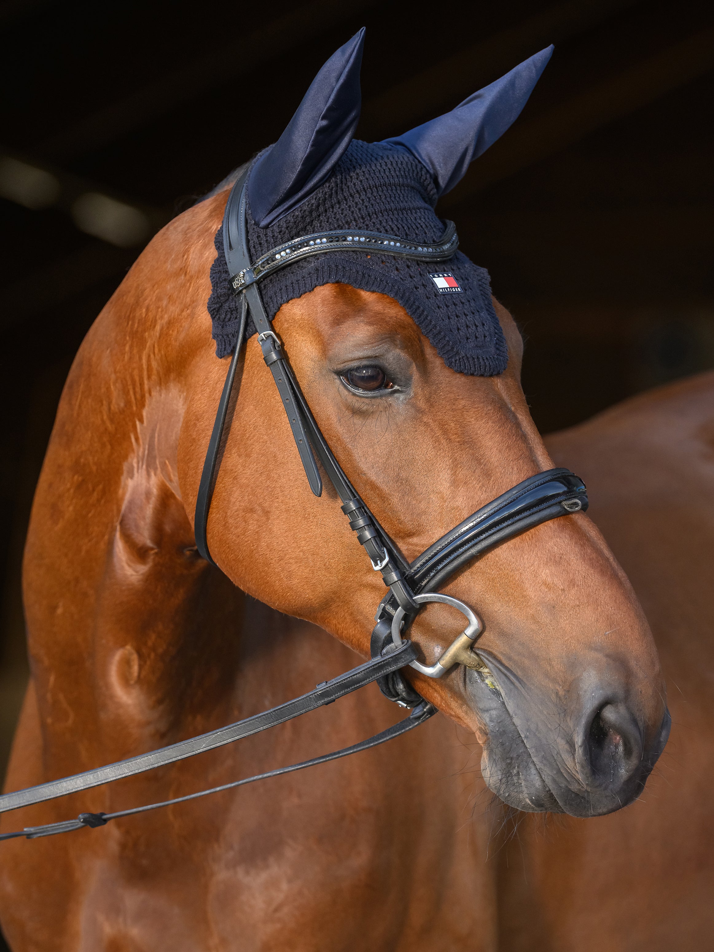 Bonnet Lexington, desert Sky - Tommy Hilfiger