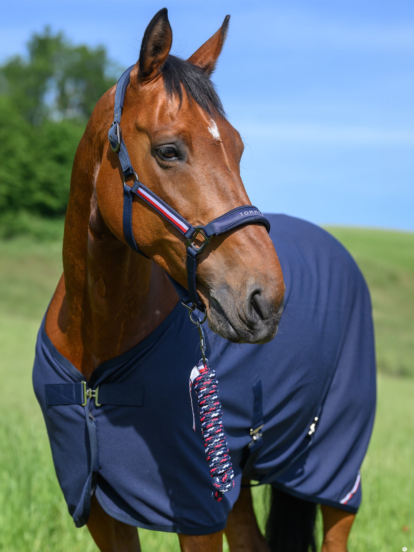 Set Licol et longe Yale, Desert Sky - Tommy Hilfiger