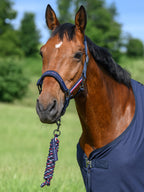 Set Licol et longe Yale - Tommy Hilfiger