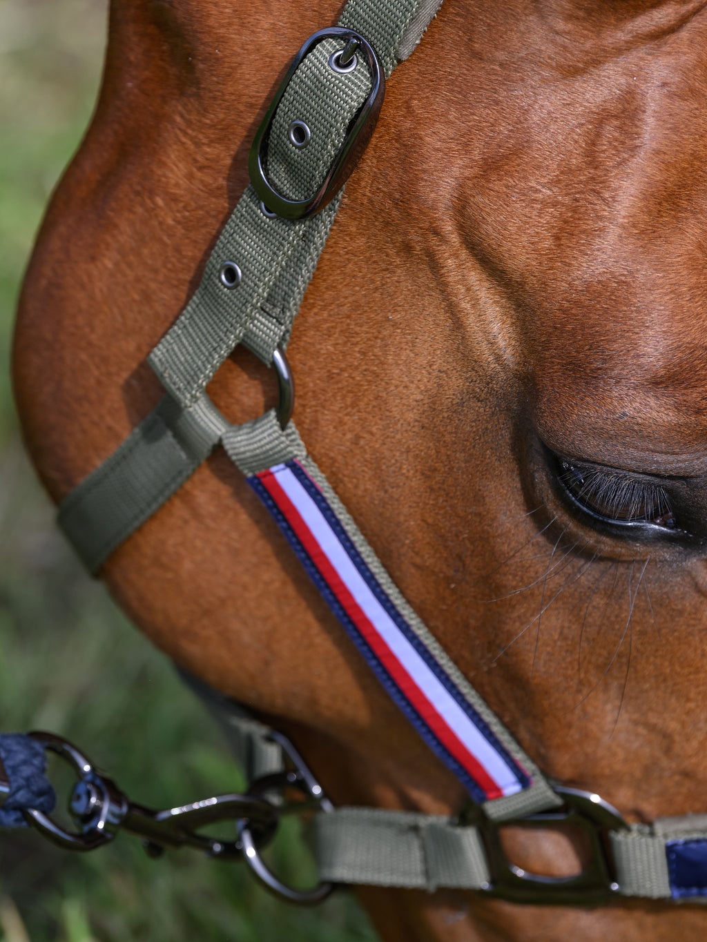 Set Licol et longe Yale - Tommy Hilfiger