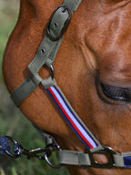 Set Licol et longe Yale - Tommy Hilfiger