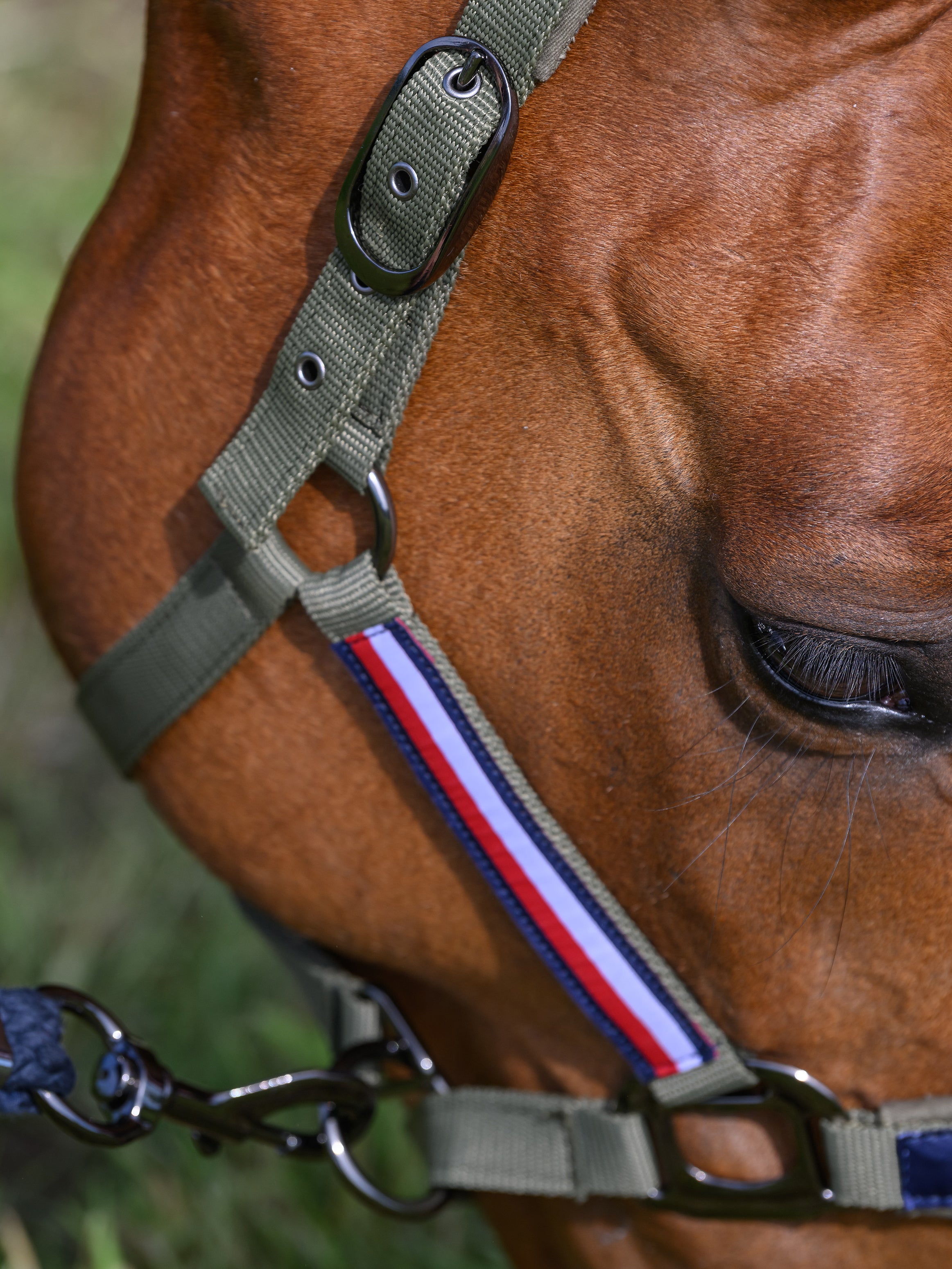 Set Licol et longe Yale - Tommy Hilfiger