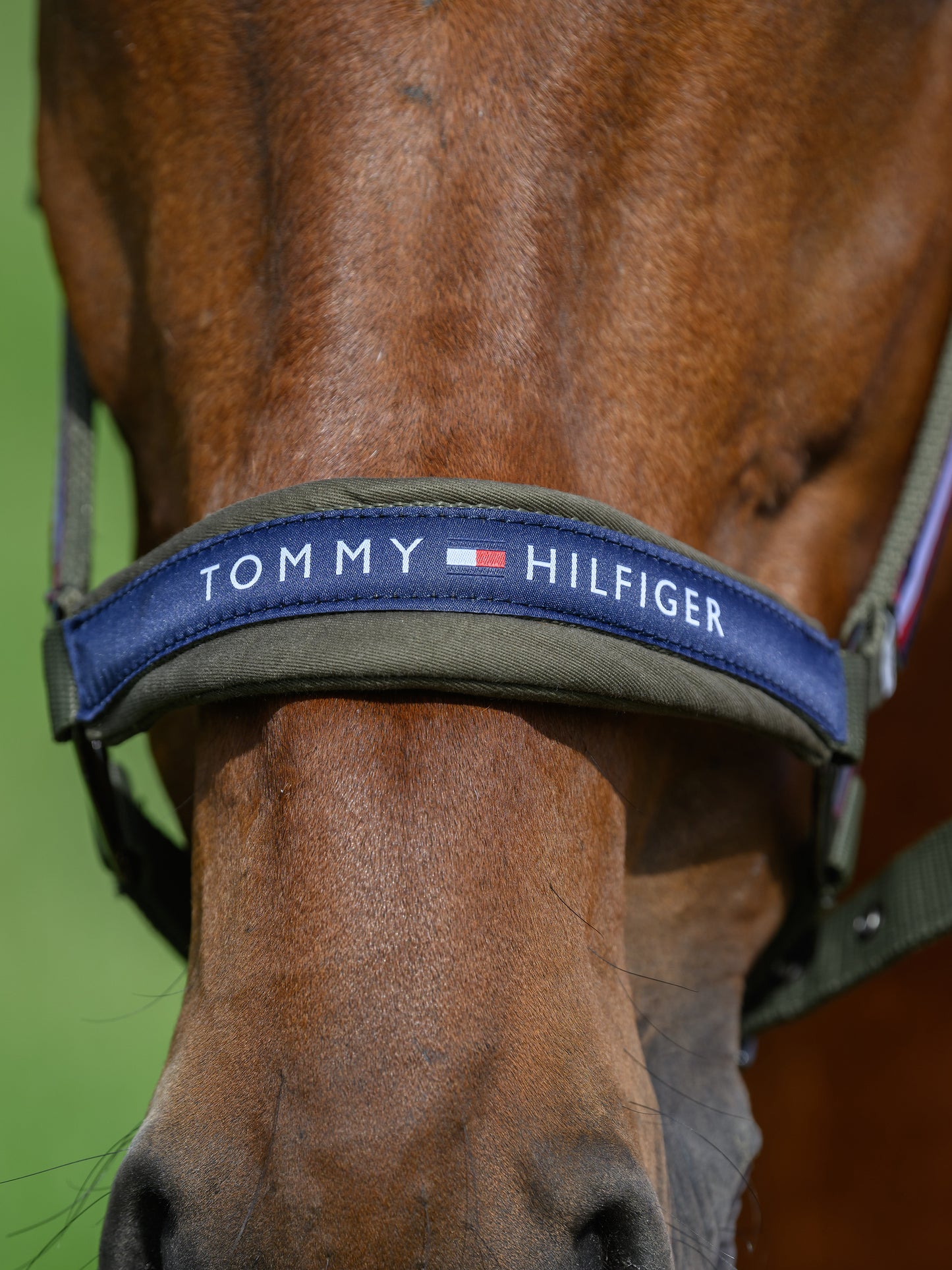 Set Licol et longe Yale, Olive - Tommy Hilfiger