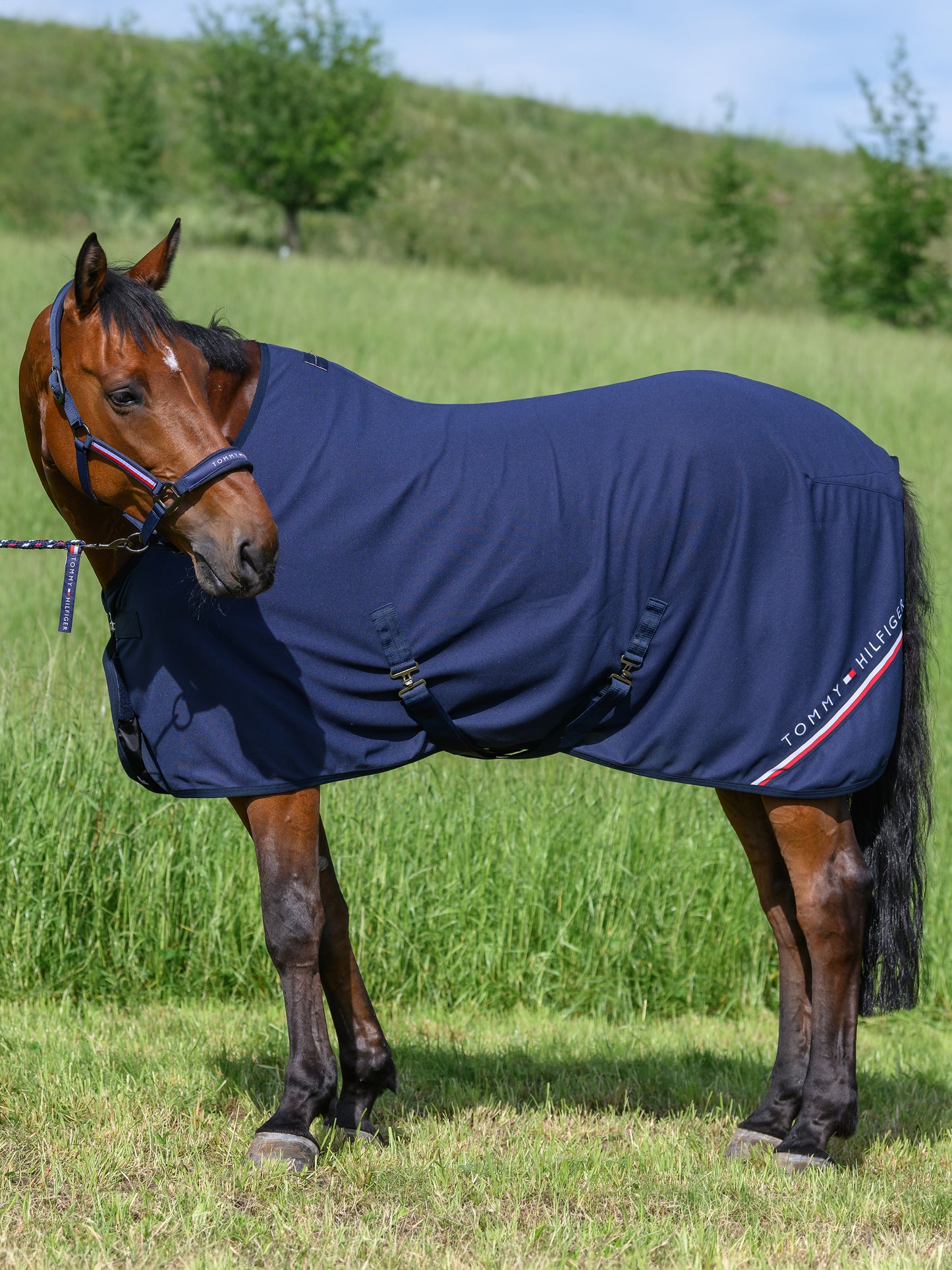 Chemise Cornell Waffle rug, Deserk sky - Tommy Hilfiger