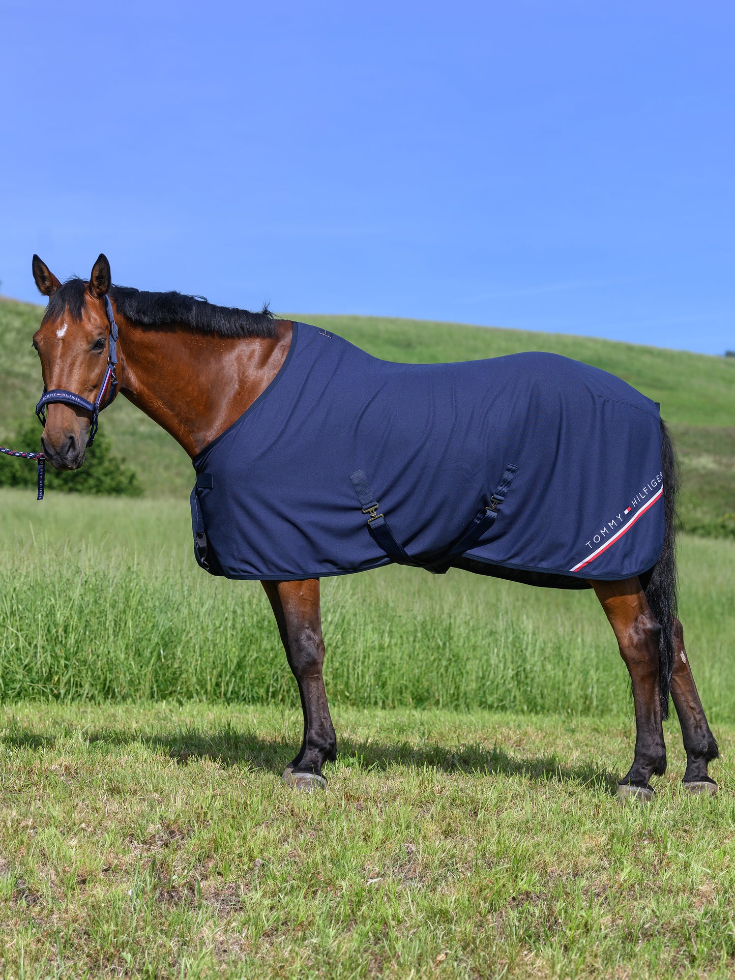 Chemise Cornell Waffle rug, Deserk sky - Tommy Hilfiger
