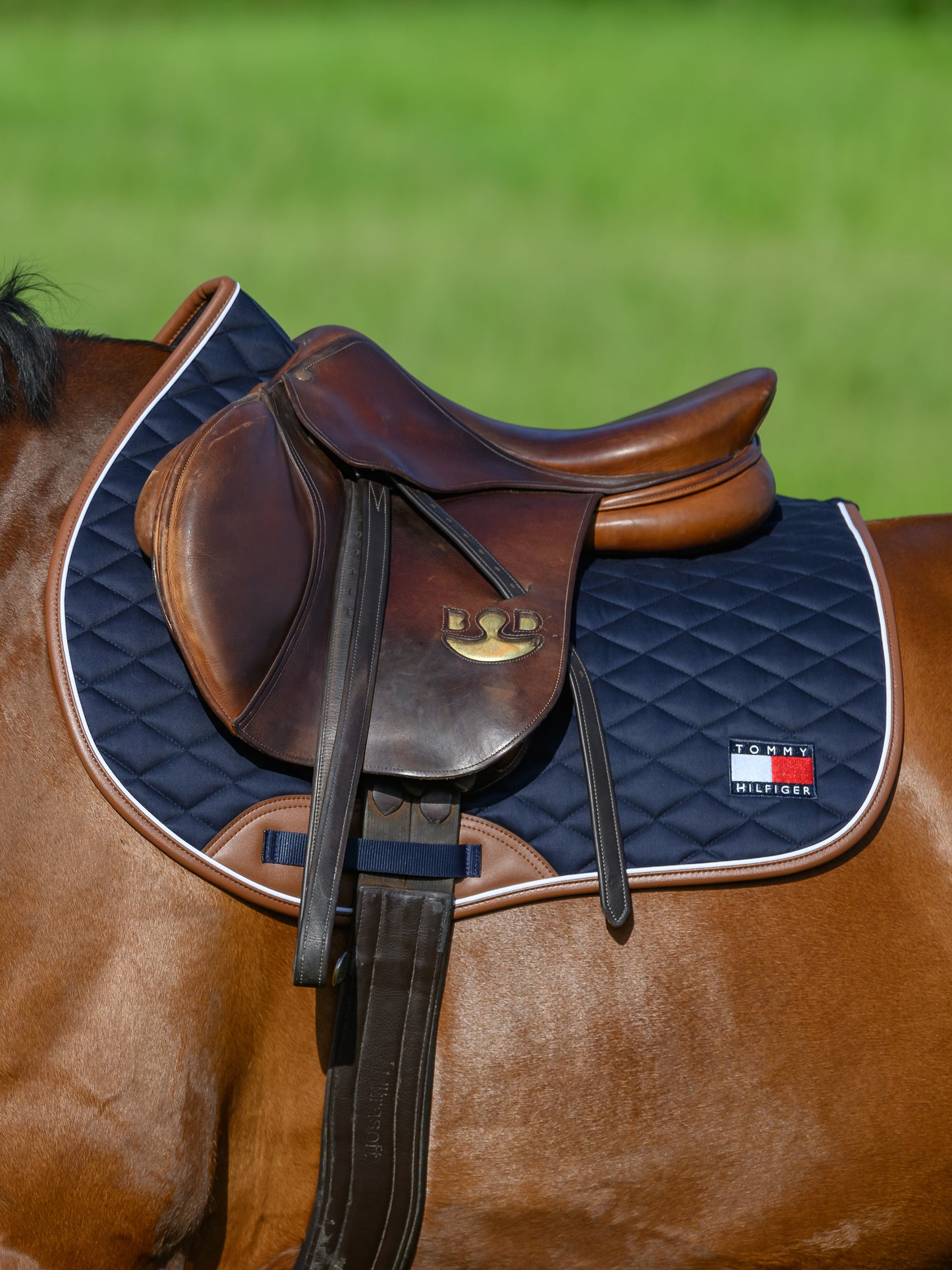 Tapis Princeton, Desert Sky - Tommy Hilfiger