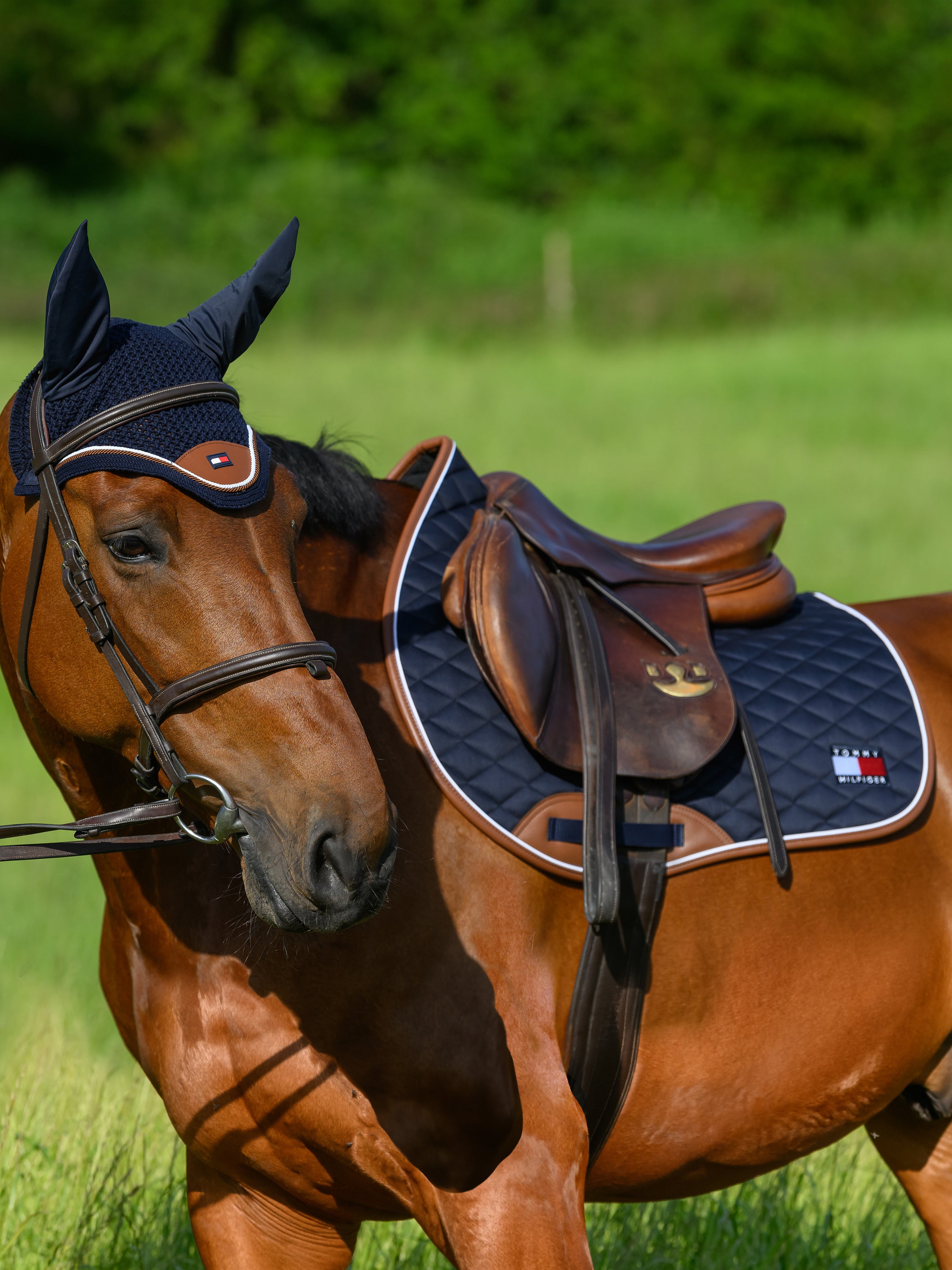 Tapis Princeton, Desert Sky - Tommy Hilfiger