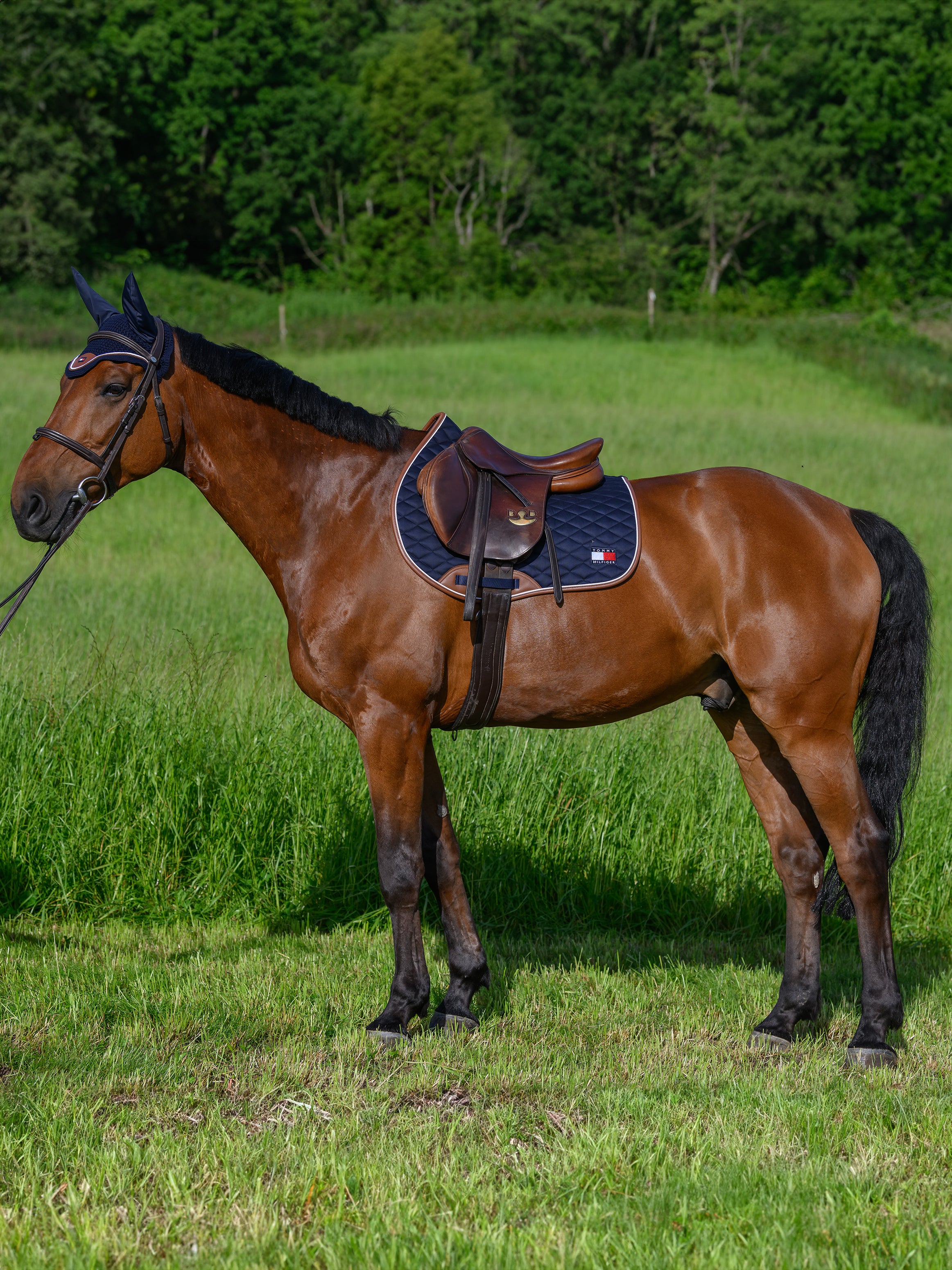 Tapis Princeton, Desert Sky - Tommy Hilfiger