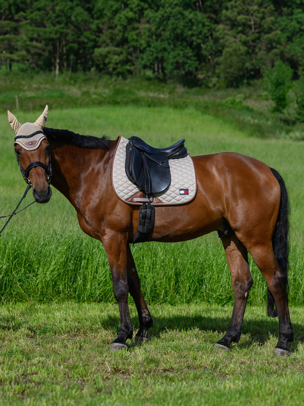 Tapis Princeton, Beige - Tommy Hilfiger