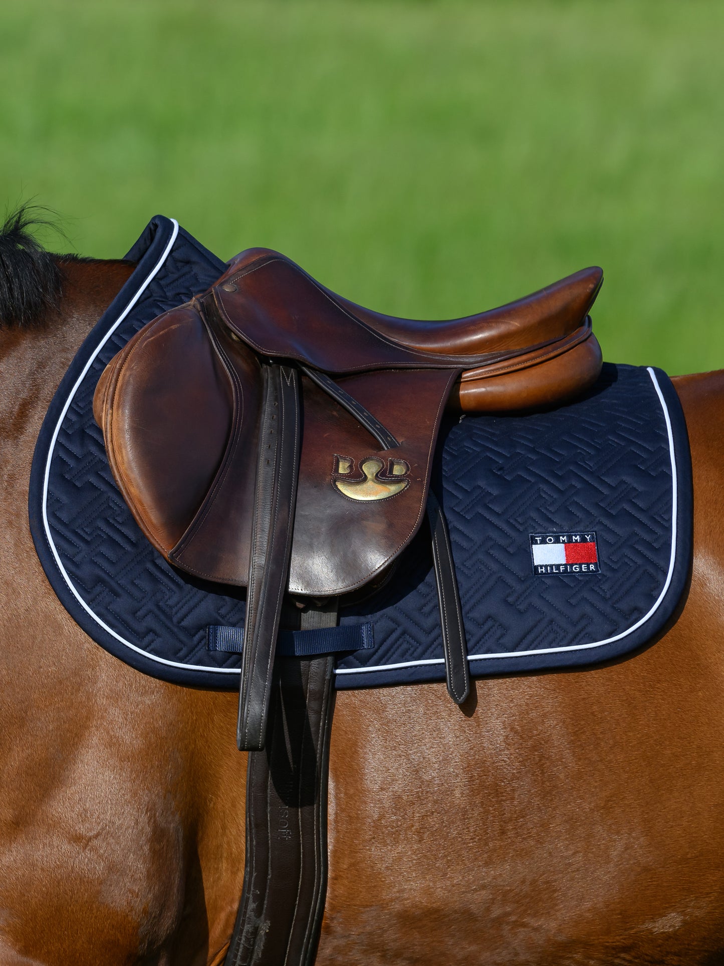 Tapis Harvard Desert Sky - Tommy Hilfiger