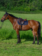 Tapis Harvard Desert Sky - Tommy Hilfiger