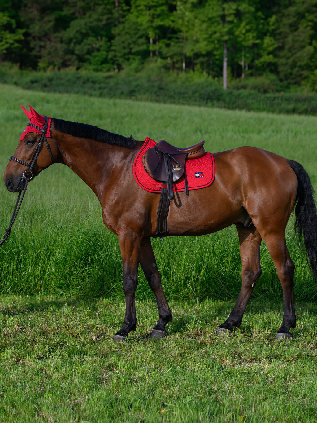 Harvard Primary red rug - Tommy Hilfiger