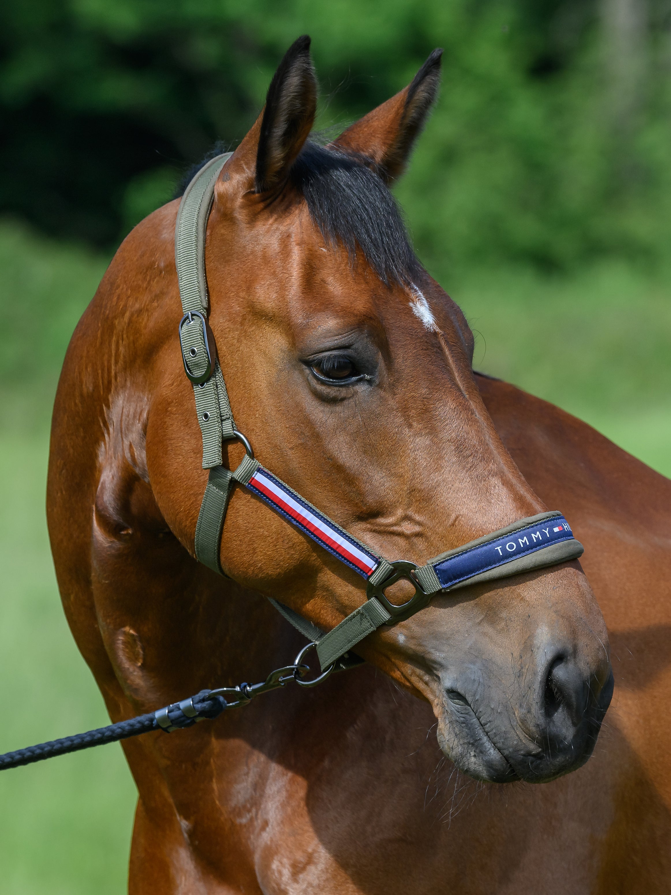 Set Licol et longe Yale - Tommy Hilfiger