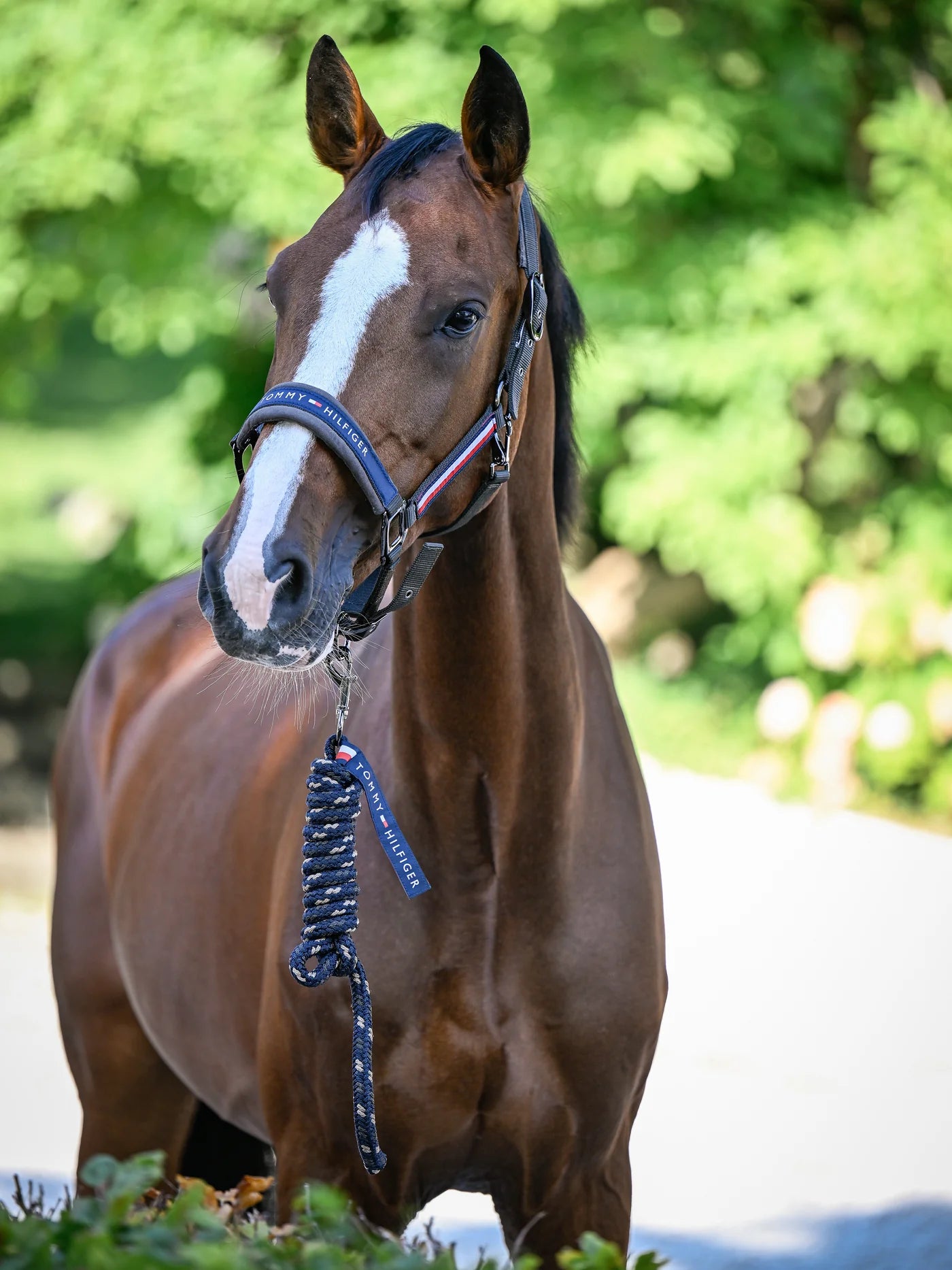 Set licol et longe - Tommy Hilfiger AW 25