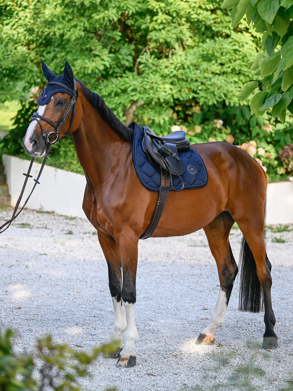 Tapis de selle Liberty - Tommy Hilfiger AW 25