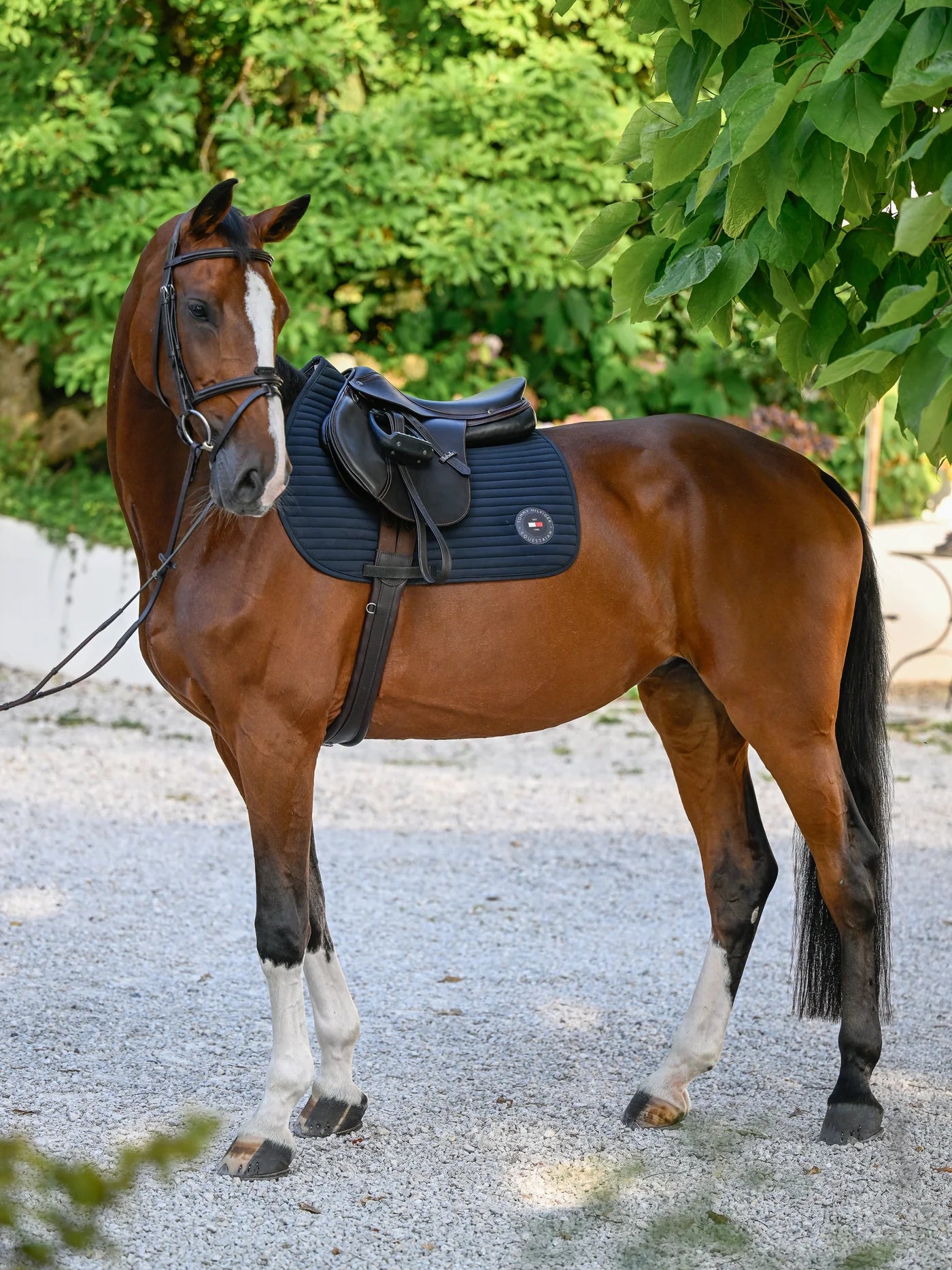 Tapis de selle Upstate - Tommy Hilfiger AW 25