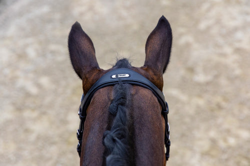 Vancouver Trense, schwarzes Lackleder - Trust Equestrian