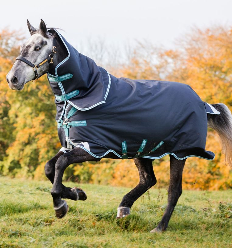 Couverture Amigo Bavo Plus 12, 250gr Navy/Aqua - Horseware