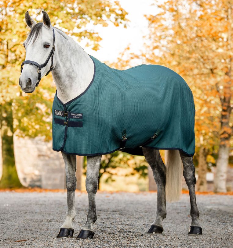 Rambo Techni waffle cooler - Horseware